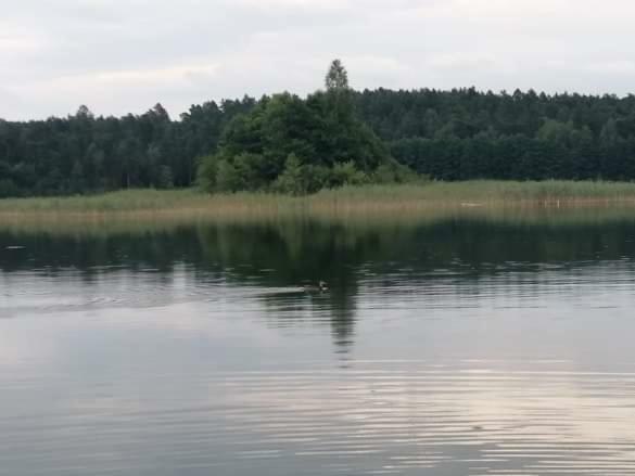 Eko-Fish Villa Miastko Eksteriør bilde