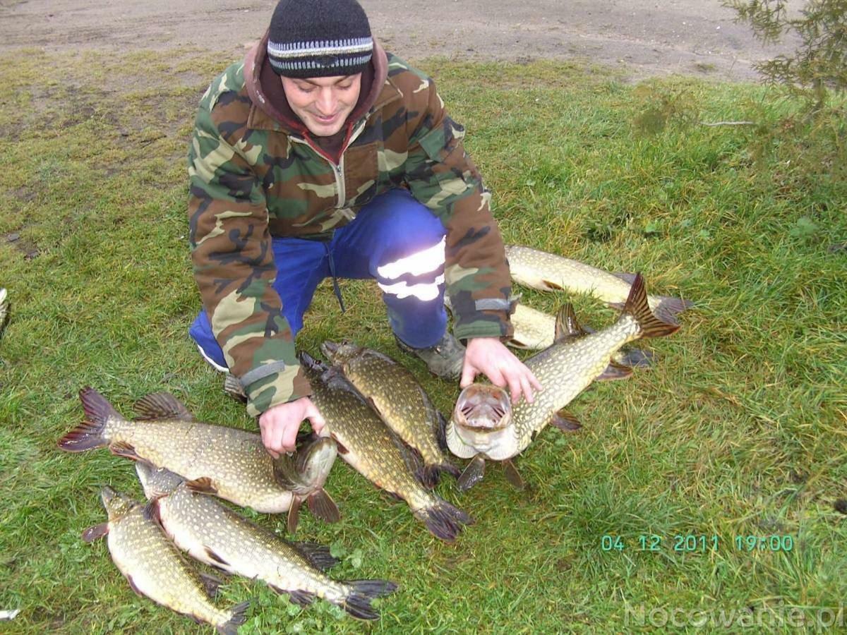 Eko-Fish Villa Miastko Eksteriør bilde