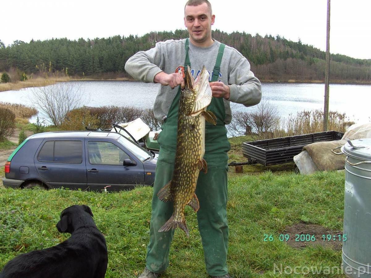 Eko-Fish Villa Miastko Eksteriør bilde